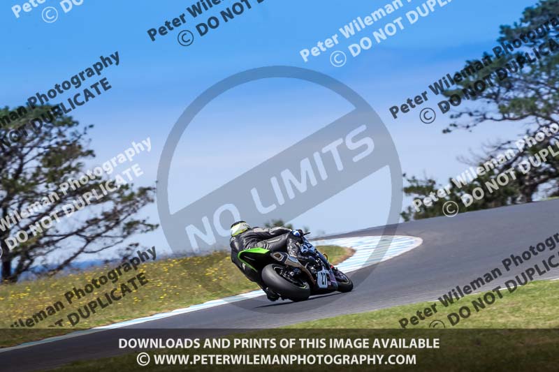 07th to 9th January 2019;Phillip Island;event digital images;motorbikes;no limits;peter wileman photography;trackday;trackday digital images