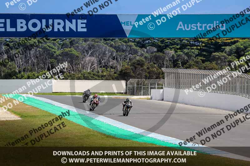 07th to 9th January 2019;Phillip Island;event digital images;motorbikes;no limits;peter wileman photography;trackday;trackday digital images