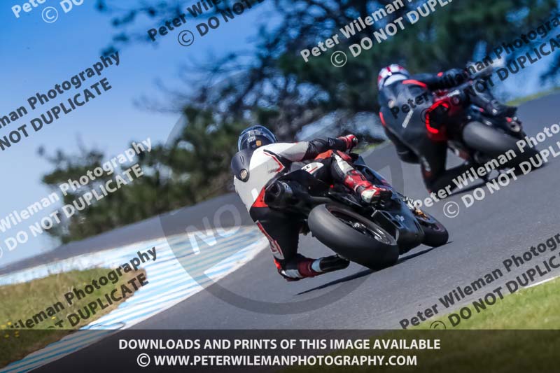 07th to 9th January 2019;Phillip Island;event digital images;motorbikes;no limits;peter wileman photography;trackday;trackday digital images