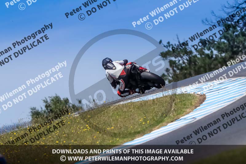 07th to 9th January 2019;Phillip Island;event digital images;motorbikes;no limits;peter wileman photography;trackday;trackday digital images