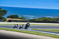 07th-to-9th-January-2019;Phillip-Island;event-digital-images;motorbikes;no-limits;peter-wileman-photography;trackday;trackday-digital-images