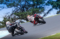 07th-to-9th-January-2019;Phillip-Island;event-digital-images;motorbikes;no-limits;peter-wileman-photography;trackday;trackday-digital-images