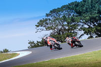 07th-to-9th-January-2019;Phillip-Island;event-digital-images;motorbikes;no-limits;peter-wileman-photography;trackday;trackday-digital-images