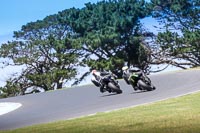 07th-to-9th-January-2019;Phillip-Island;event-digital-images;motorbikes;no-limits;peter-wileman-photography;trackday;trackday-digital-images