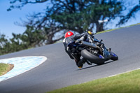 07th-to-9th-January-2019;Phillip-Island;event-digital-images;motorbikes;no-limits;peter-wileman-photography;trackday;trackday-digital-images