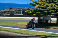 07th-to-9th-January-2019;Phillip-Island;event-digital-images;motorbikes;no-limits;peter-wileman-photography;trackday;trackday-digital-images