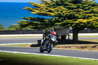 07th-to-9th-January-2019;Phillip-Island;event-digital-images;motorbikes;no-limits;peter-wileman-photography;trackday;trackday-digital-images