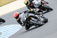 07th-to-9th-January-2019;Phillip-Island;event-digital-images;motorbikes;no-limits;peter-wileman-photography;trackday;trackday-digital-images