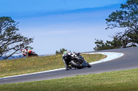 07th-to-9th-January-2019;Phillip-Island;event-digital-images;motorbikes;no-limits;peter-wileman-photography;trackday;trackday-digital-images