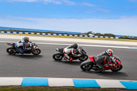 07th-to-9th-January-2019;Phillip-Island;event-digital-images;motorbikes;no-limits;peter-wileman-photography;trackday;trackday-digital-images