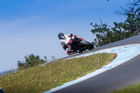 07th-to-9th-January-2019;Phillip-Island;event-digital-images;motorbikes;no-limits;peter-wileman-photography;trackday;trackday-digital-images