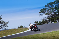 07th-to-9th-January-2019;Phillip-Island;event-digital-images;motorbikes;no-limits;peter-wileman-photography;trackday;trackday-digital-images