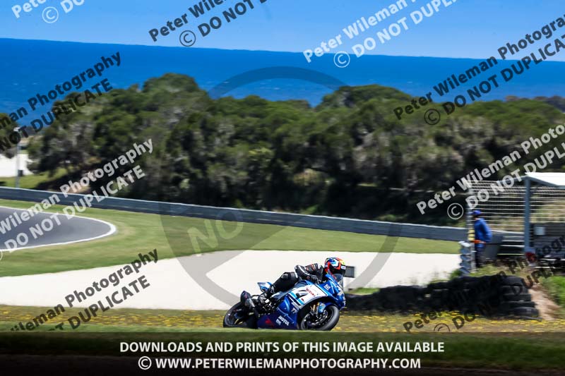 07th to 9th January 2019;Phillip Island;event digital images;motorbikes;no limits;peter wileman photography;trackday;trackday digital images