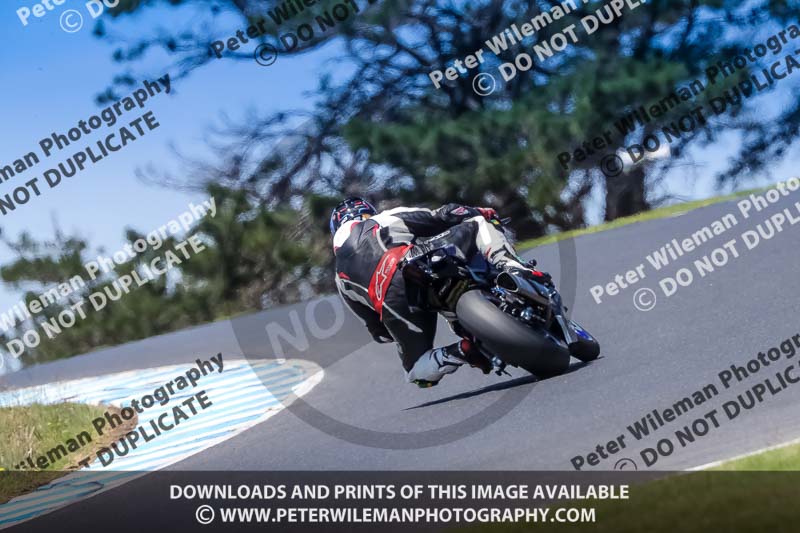 07th to 9th January 2019;Phillip Island;event digital images;motorbikes;no limits;peter wileman photography;trackday;trackday digital images