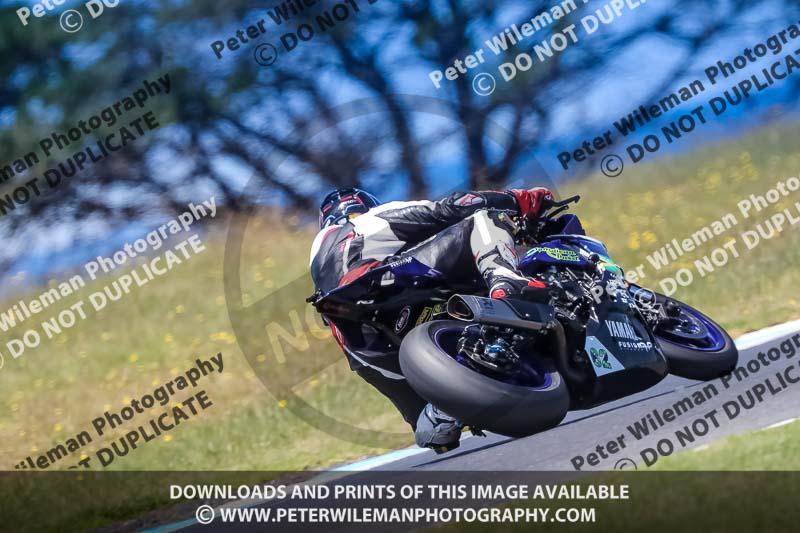 07th to 9th January 2019;Phillip Island;event digital images;motorbikes;no limits;peter wileman photography;trackday;trackday digital images