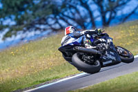 07th-to-9th-January-2019;Phillip-Island;event-digital-images;motorbikes;no-limits;peter-wileman-photography;trackday;trackday-digital-images