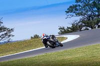 07th-to-9th-January-2019;Phillip-Island;event-digital-images;motorbikes;no-limits;peter-wileman-photography;trackday;trackday-digital-images