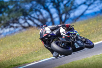 07th-to-9th-January-2019;Phillip-Island;event-digital-images;motorbikes;no-limits;peter-wileman-photography;trackday;trackday-digital-images