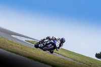 07th-to-9th-January-2019;Phillip-Island;event-digital-images;motorbikes;no-limits;peter-wileman-photography;trackday;trackday-digital-images