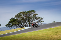 07th-to-9th-January-2019;Phillip-Island;event-digital-images;motorbikes;no-limits;peter-wileman-photography;trackday;trackday-digital-images