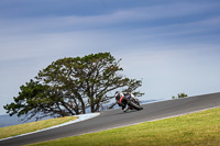 07th-to-9th-January-2019;Phillip-Island;event-digital-images;motorbikes;no-limits;peter-wileman-photography;trackday;trackday-digital-images