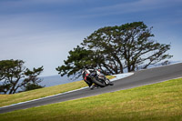 07th-to-9th-January-2019;Phillip-Island;event-digital-images;motorbikes;no-limits;peter-wileman-photography;trackday;trackday-digital-images