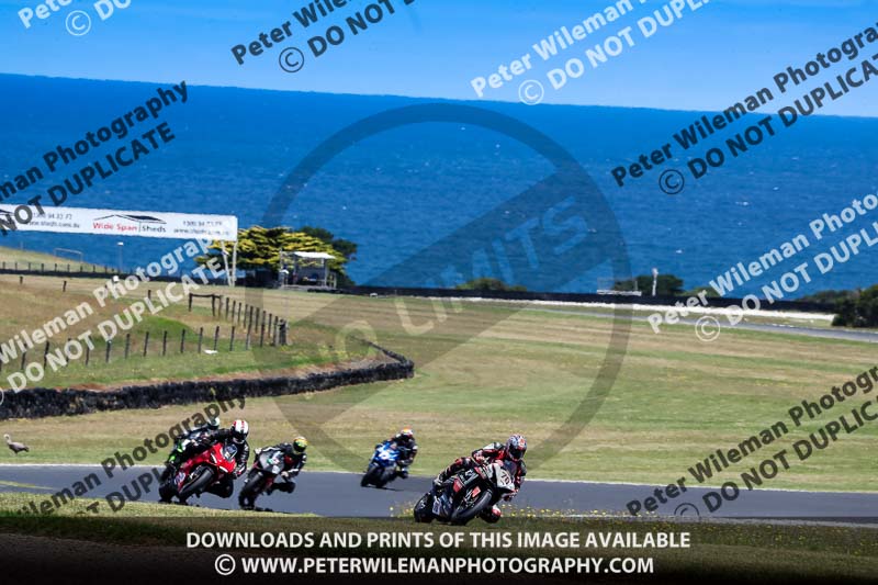 07th to 9th January 2019;Phillip Island;event digital images;motorbikes;no limits;peter wileman photography;trackday;trackday digital images