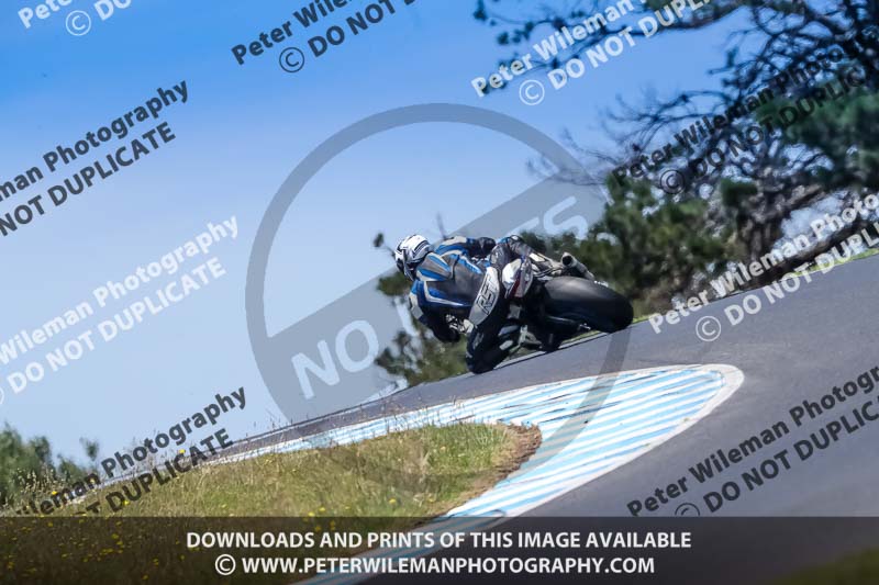 07th to 9th January 2019;Phillip Island;event digital images;motorbikes;no limits;peter wileman photography;trackday;trackday digital images