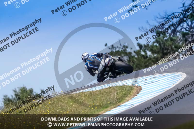 07th to 9th January 2019;Phillip Island;event digital images;motorbikes;no limits;peter wileman photography;trackday;trackday digital images