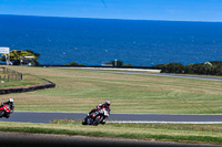 07th-to-9th-January-2019;Phillip-Island;event-digital-images;motorbikes;no-limits;peter-wileman-photography;trackday;trackday-digital-images