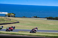 07th-to-9th-January-2019;Phillip-Island;event-digital-images;motorbikes;no-limits;peter-wileman-photography;trackday;trackday-digital-images