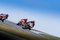 07th-to-9th-January-2019;Phillip-Island;event-digital-images;motorbikes;no-limits;peter-wileman-photography;trackday;trackday-digital-images