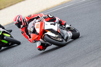 07th-to-9th-January-2019;Phillip-Island;event-digital-images;motorbikes;no-limits;peter-wileman-photography;trackday;trackday-digital-images