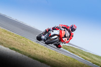 07th-to-9th-January-2019;Phillip-Island;event-digital-images;motorbikes;no-limits;peter-wileman-photography;trackday;trackday-digital-images