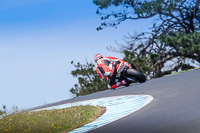 07th-to-9th-January-2019;Phillip-Island;event-digital-images;motorbikes;no-limits;peter-wileman-photography;trackday;trackday-digital-images