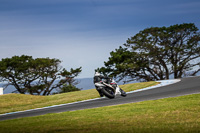 07th-to-9th-January-2019;Phillip-Island;event-digital-images;motorbikes;no-limits;peter-wileman-photography;trackday;trackday-digital-images