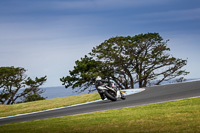 07th-to-9th-January-2019;Phillip-Island;event-digital-images;motorbikes;no-limits;peter-wileman-photography;trackday;trackday-digital-images