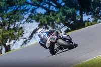 07th-to-9th-January-2019;Phillip-Island;event-digital-images;motorbikes;no-limits;peter-wileman-photography;trackday;trackday-digital-images