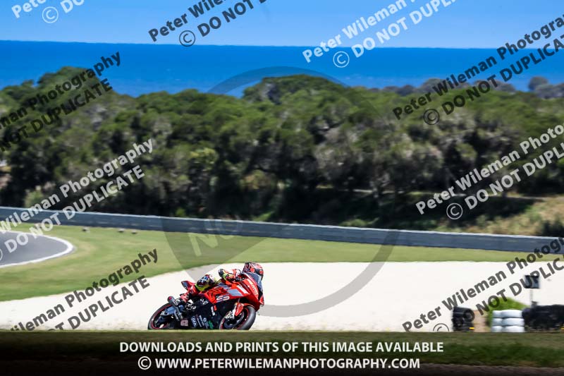 07th to 9th January 2019;Phillip Island;event digital images;motorbikes;no limits;peter wileman photography;trackday;trackday digital images