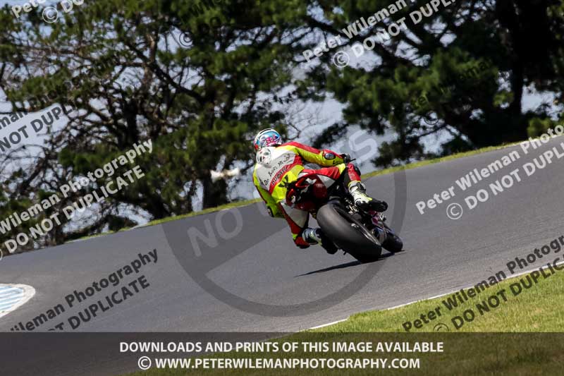 07th to 9th January 2019;Phillip Island;event digital images;motorbikes;no limits;peter wileman photography;trackday;trackday digital images