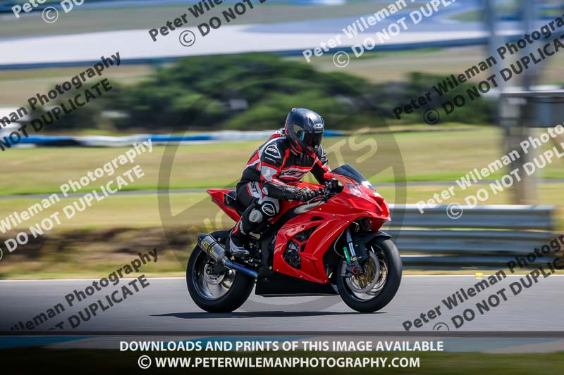 07th to 9th January 2019;Phillip Island;event digital images;motorbikes;no limits;peter wileman photography;trackday;trackday digital images