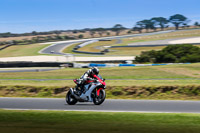 07th-to-9th-January-2019;Phillip-Island;event-digital-images;motorbikes;no-limits;peter-wileman-photography;trackday;trackday-digital-images