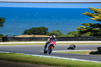 07th-to-9th-January-2019;Phillip-Island;event-digital-images;motorbikes;no-limits;peter-wileman-photography;trackday;trackday-digital-images