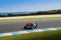 07th-to-9th-January-2019;Phillip-Island;event-digital-images;motorbikes;no-limits;peter-wileman-photography;trackday;trackday-digital-images