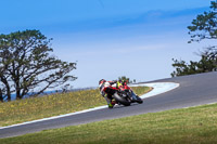 07th-to-9th-January-2019;Phillip-Island;event-digital-images;motorbikes;no-limits;peter-wileman-photography;trackday;trackday-digital-images