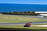 07th-to-9th-January-2019;Phillip-Island;event-digital-images;motorbikes;no-limits;peter-wileman-photography;trackday;trackday-digital-images