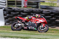 07th-to-9th-January-2019;Phillip-Island;event-digital-images;motorbikes;no-limits;peter-wileman-photography;trackday;trackday-digital-images