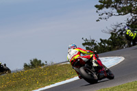 07th-to-9th-January-2019;Phillip-Island;event-digital-images;motorbikes;no-limits;peter-wileman-photography;trackday;trackday-digital-images