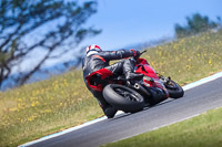 07th-to-9th-January-2019;Phillip-Island;event-digital-images;motorbikes;no-limits;peter-wileman-photography;trackday;trackday-digital-images