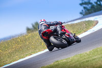 07th-to-9th-January-2019;Phillip-Island;event-digital-images;motorbikes;no-limits;peter-wileman-photography;trackday;trackday-digital-images